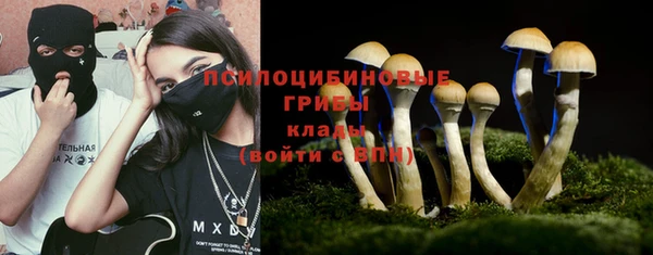 ECSTASY Гусиноозёрск