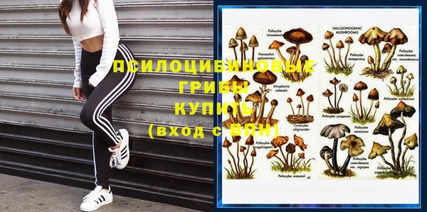 скорость Гусев