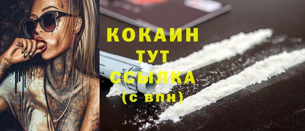 скорость Гусев