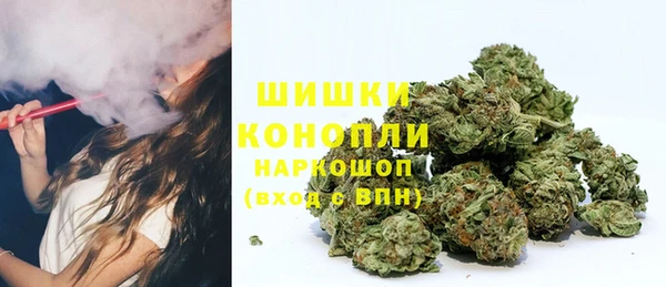 ECSTASY Гусиноозёрск